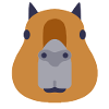 Funny Capybara Shirt