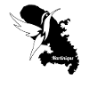 Martinique carte colibri noir et blanc