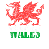 Wales Flag St Davids Day Cymraeg Welsh Coat of Arms