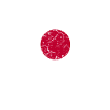 Japan Flag