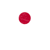 Japan Flag