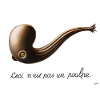 Ceci n'est pas un poulpe