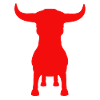 Stier, Bulle, Hörner, Vorderansicht