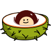 Chestnut baby