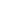 The wedding photographer