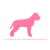 lagotto romagnolo