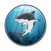 White shark