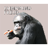 Chimpmund Freud