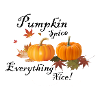 Pumpkin orange pumpkin
