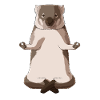 Wombat méditant