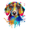 Dackel Dachshund Teckel Illustration