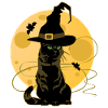 Witches cat moonlight