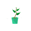 Fibonnaci Growth