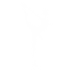Speed skating skate figure skating
