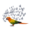 Parrot tropical bird