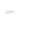 Muggaseggele