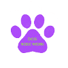 NOSE Work dog