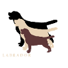 Labrador