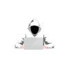 Hacker computer