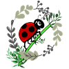 Marienkäfer Botanik Comicstyle
