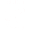 Shetland pony