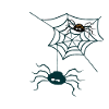 halloween spider