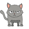 Cat angry