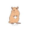 Gerbil Kids School My Gerbil Ate My Homework
