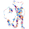 Chemises Border Collie
