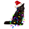 Christmas Cat