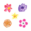 Flowers motif set
