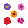 Flowers motif set