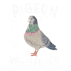 Pigeon Pigeon Whisperer
