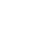 DRESDEN is calling
