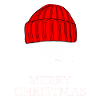 Raccoon Christmas