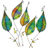Feuilles