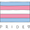 Transgender Trans Flag Pride