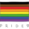 Alternative LGBT flag Pride
