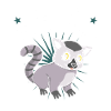 lemur