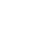 Islandpferd