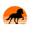 Islandpferd