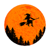 Witch on witch broom Halloween