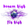 Dream High Fly High