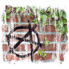 anarchy