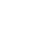 Monocycle évolution