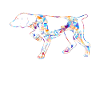 German Shorthaired Pointer