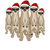 Funny meerkats group Christmas gift