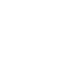 The Valkyrie