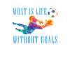 Soccer football