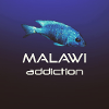 Malawi addiction